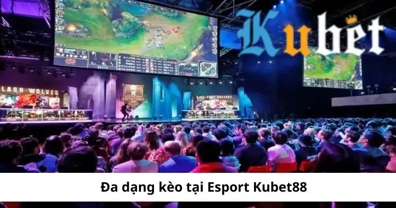 Đa dạng kèo tại Esport Kubet